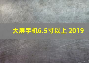 大屏手机6.5寸以上 2019